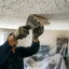 Handyman scraping textured popcorn ceiling material off a ceiling